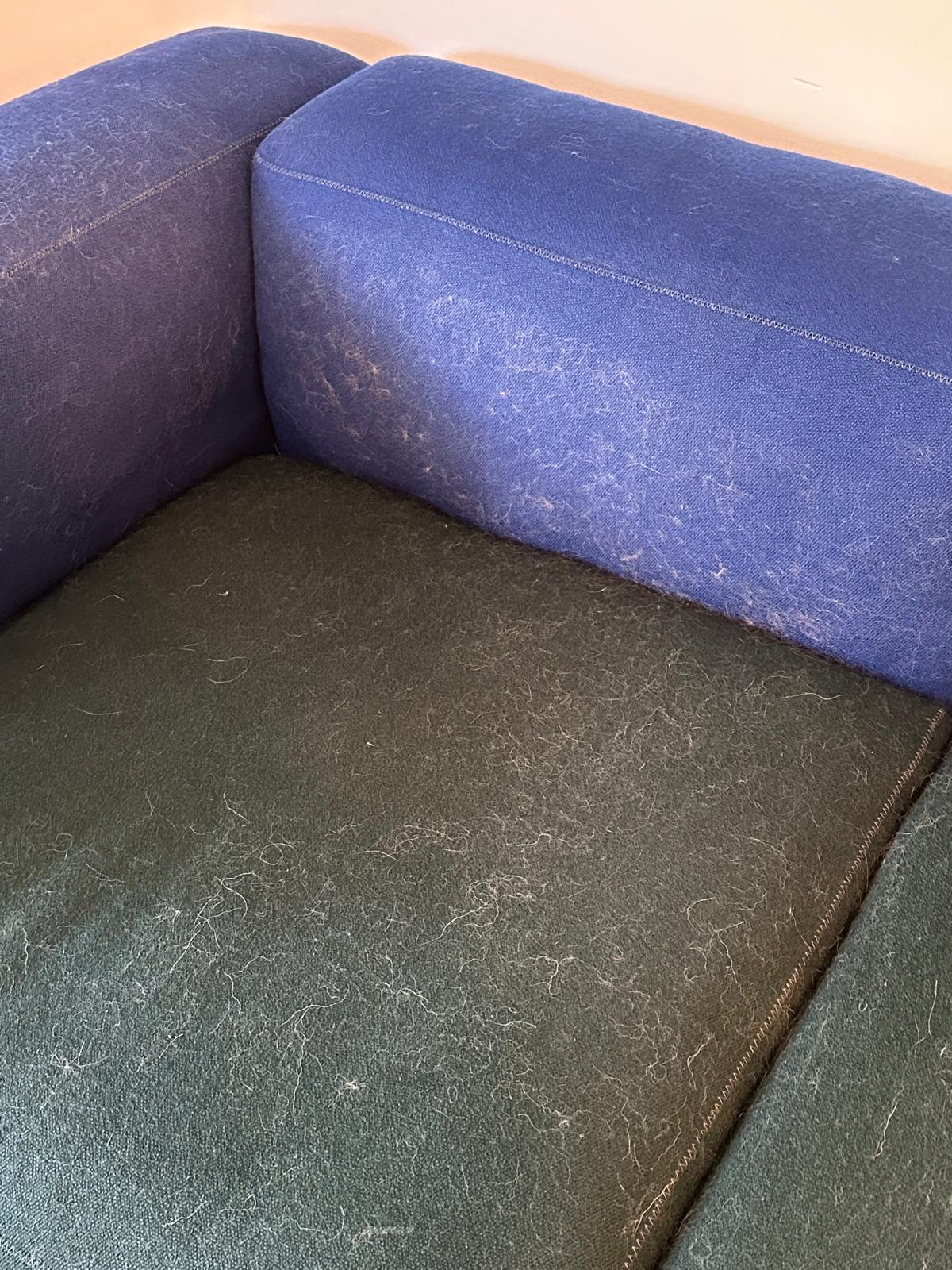 Before: Sofa upholstery — pet hair and lint — Keep Clean Solutions LLC